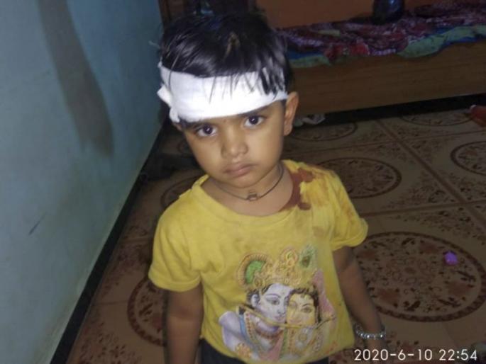 Brave grandmother's leap on leopard; children granddaughter rescued from the leopard | धाडसी आजीची बिबट्यावर झडप; जबड्यातून वाचविले चिमुकल्या नातीला Brave grandmother's leap on leopard; children granddaughter rescued from the leopard | धाडसी आजीची बिबट्यावर झडप; जबड्यातून वाचविले चिमुकल्या नातीला