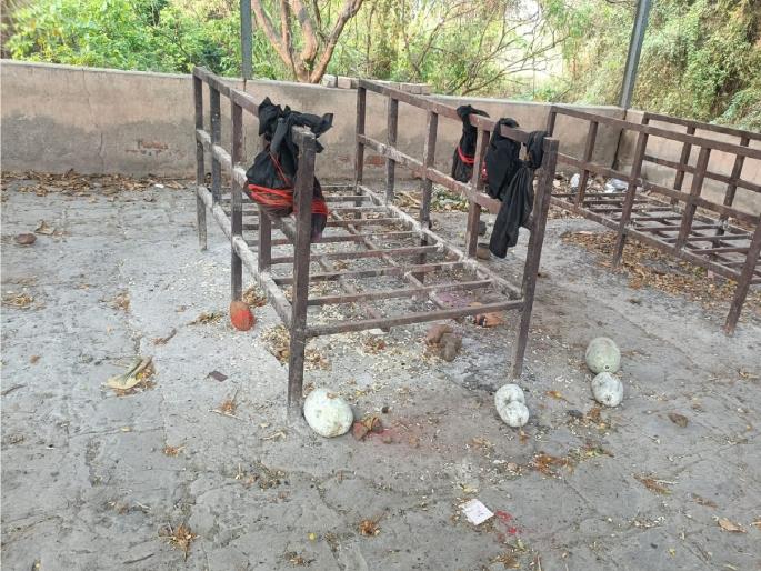 Bhanamati type in the cemetery of Chikurde at Sangli, Photographs of boys and girls found | Sangli: चिकुर्डेच्या स्मशानभूमीत भानामतीचा प्रकार, गाठोड्यात आढळली मुला-मुलींचे फोटो