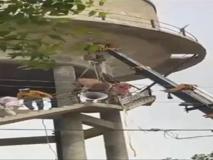 Bull climbs onto water tank, roars Sholay style, rescued after six hours | पाण्याच्या टाकीवर चढून बैलाने घातला शोलेस्टाईल धिंगाणा, सहा तासांनंतर झाली सुटका Bull climbs onto water tank, roars Sholay style, rescued after six hours | पाण्याच्या टाकीवर चढून बैलाने घातला शोलेस्टाईल धिंगाणा, सहा तासांनंतर झाली सुटका