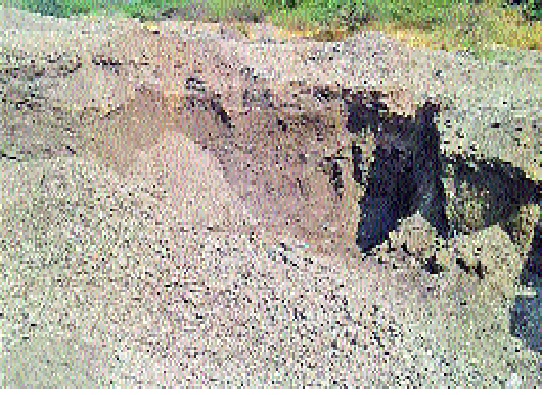 In the case of illegal sand extraction in the Bor river basin -: neglect of administration | जतमध्ये बोर नदीपात्रात अवैध वाळू उपसा सुरूच --: प्रशासनाचे दुर्लक्ष