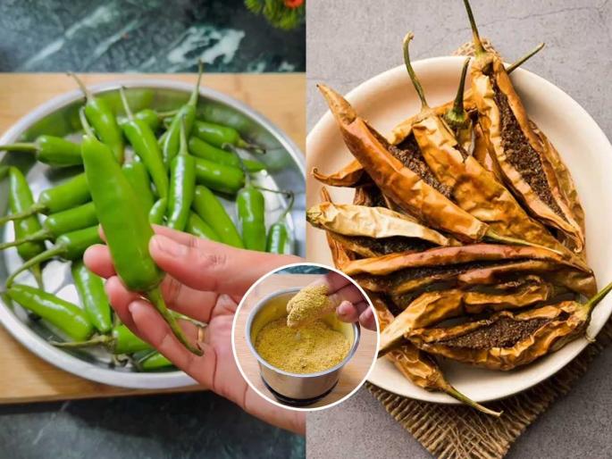 Sandagi Mirchi Recipe How To Make Sandagi Mirchi At Home | कोकणातल्या पारंपरिक चवीच्या सांडगी मिरचीची पाहा रेसिपी, वर्षभर टिकेल - ना बुरशी येते ना खमंगपणा जातो... Sandagi Mirchi Recipe How To Make Sandagi Mirchi At Home | कोकणातल्या पारंपरिक चवीच्या सांडगी मिरचीची पाहा रेसिपी, वर्षभर टिकेल - ना बुरशी येते ना खमंगपणा जातो...