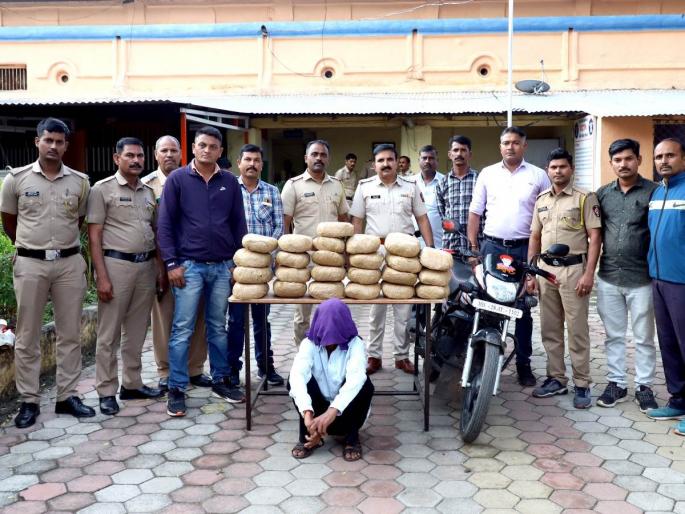 24 kilos of ganja seized in Deulgaon Raja; | देऊळगाव राजात २४ किलाे गांजा जप्त; स्थानिक गुन्हे शाखेची कारवाई 24 kilos of ganja seized in Deulgaon Raja; | देऊळगाव राजात २४ किलाे गांजा जप्त; स्थानिक गुन्हे शाखेची कारवाई