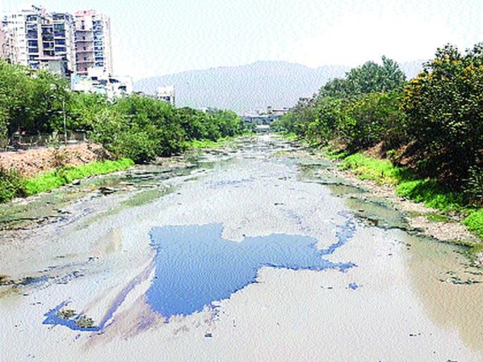 Wastewater leakage in creek | खाडीपट्ट्यात सांडपाणी गळतीचे लागले ग्रहण Wastewater leakage in creek | खाडीपट्ट्यात सांडपाणी गळतीचे लागले ग्रहण
