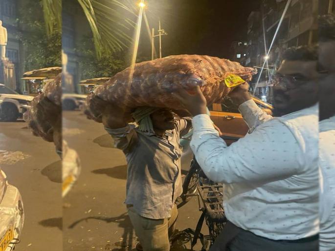 District Collector of Sangli set an example of humanity | ओ साहेब पोते उचलायला जरा हात लावता का? सांगलीच्या जिल्हाधिकाऱ्यांचं साधेपण District Collector of Sangli set an example of humanity | ओ साहेब पोते उचलायला जरा हात लावता का? सांगलीच्या जिल्हाधिकाऱ्यांचं साधेपण