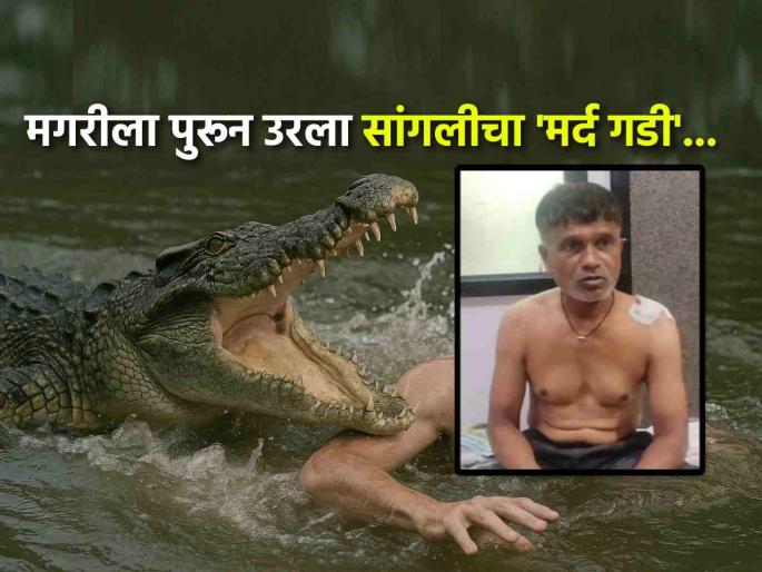 Bravely escapes from crocodile jaws Swimmer from Sangli attacked by crocodile in Sangliwadi | व्वा रं पठ्ठ्या !! मगरीनं अचानक येऊन त्याचं डोकं जबड्यात धरलं, पण धाडसाने वाचवले स्वत:चे प्राण Bravely escapes from crocodile jaws Swimmer from Sangli attacked by crocodile in Sangliwadi | व्वा रं पठ्ठ्या !! मगरीनं अचानक येऊन त्याचं डोकं जबड्यात धरलं, पण धाडसाने वाचवले स्वत:चे प्राण