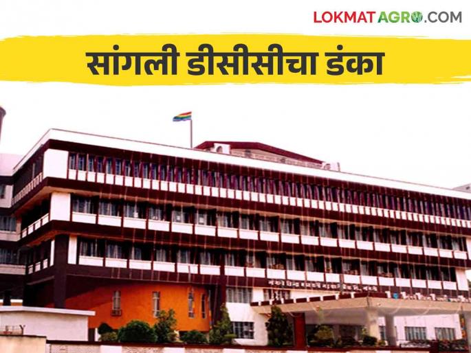 This bank is among the top five in the state by disbursing loans of 111 crores to agriculture allied business | शेती पूरक व्यवसायाला १११ कोटींचे कर्ज वाटप करत ही बँक राज्यात पहिल्या पाचमध्ये This bank is among the top five in the state by disbursing loans of 111 crores to agriculture allied business | शेती पूरक व्यवसायाला १११ कोटींचे कर्ज वाटप करत ही बँक राज्यात पहिल्या पाचमध्ये