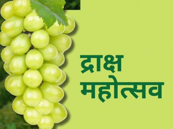 Due to grape and currant festival in Sangli, farmers got their market | Sangli: द्राक्ष, बेदाणा महोत्सवामुळे शेतकऱ्यांना मिळाली हक्काची बाजारपेठ - विवेक कुंभार Due to grape and currant festival in Sangli, farmers got their market | Sangli: द्राक्ष, बेदाणा महोत्सवामुळे शेतकऱ्यांना मिळाली हक्काची बाजारपेठ - विवेक कुंभार
