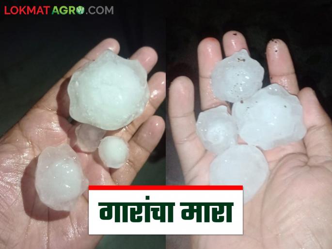 Heavy rains hit this district; Hailstones larger than three inches fell | या जिल्ह्यात मुसळधार पावसाचा फटका; तीन इंचापेक्षा मोठ्या आकारांच्या गारा पडल्या Heavy rains hit this district; Hailstones larger than three inches fell | या जिल्ह्यात मुसळधार पावसाचा फटका; तीन इंचापेक्षा मोठ्या आकारांच्या गारा पडल्या