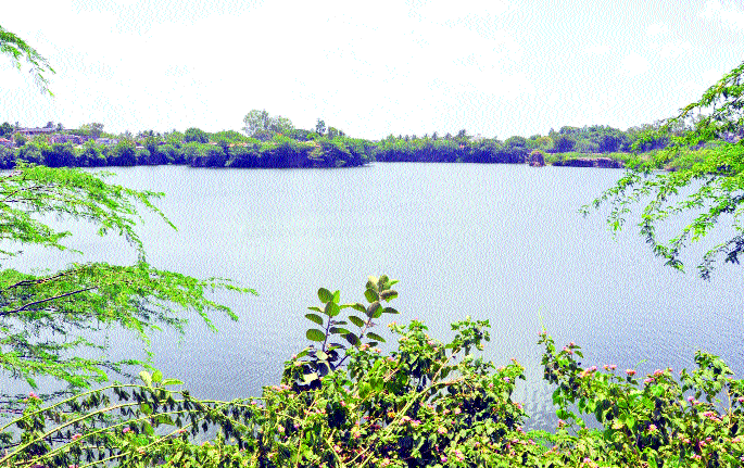 District control officer Kalim is in control of Sangli district | सांगली जिल्ह्यात स्थिती नियंत्रणात : जिल्हाधिकारी काळम District control officer Kalim is in control of Sangli district | सांगली जिल्ह्यात स्थिती नियंत्रणात : जिल्हाधिकारी काळम