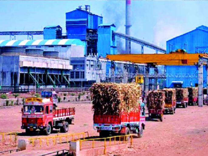 When will the sugar millers of Sangli solve the sugarcane price issue | ऊस दर: सांगलीचे साखर कारखानदार तोडगा कधी काढणार?, निर्णयाकडे शेतकऱ्यांचे लक्ष When will the sugar millers of Sangli solve the sugarcane price issue | ऊस दर: सांगलीचे साखर कारखानदार तोडगा कधी काढणार?, निर्णयाकडे शेतकऱ्यांचे लक्ष