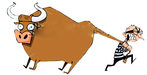 Activists of the stealth group of buffaloes in Sangli district | सांगली जिल्ह्यात म्हैशी चोरणारी टोळी सक्रिय