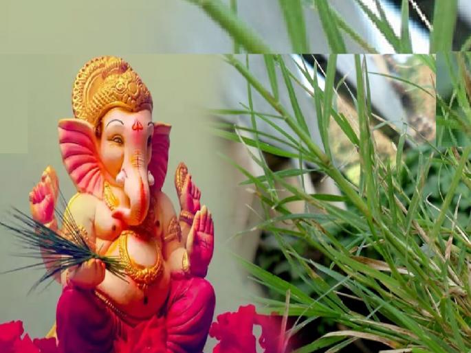 the price of Durva increased more than that of vegetables in Ganeshotsav | ganesh chaturthi 2022: भाजीपेक्षा दुर्वांचा भाव जास्त, पाना-फुलांनाही मोठी मागणी the price of Durva increased more than that of vegetables in Ganeshotsav | ganesh chaturthi 2022: भाजीपेक्षा दुर्वांचा भाव जास्त, पाना-फुलांनाही मोठी मागणी