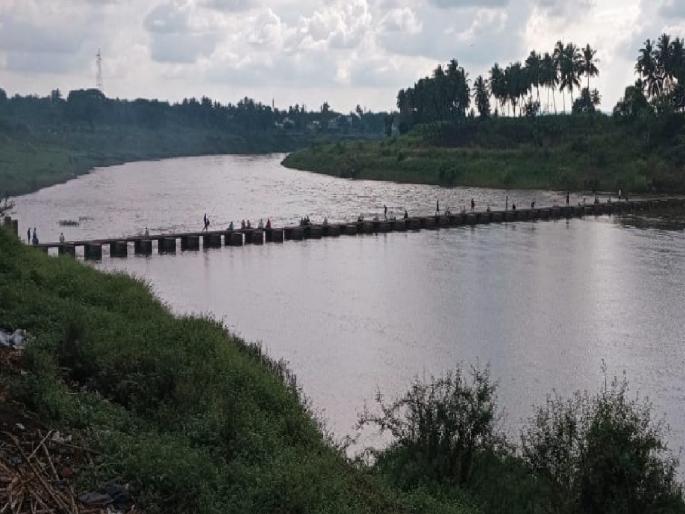 Incessant rains in Sangli district; Damage to Kharif crops, Rabi sowing stopped | सांगली जिल्ह्यात पावसाची संततधार; खरीप पिकांचे नुकसान, रब्बी पेरण्या थांबल्या Incessant rains in Sangli district; Damage to Kharif crops, Rabi sowing stopped | सांगली जिल्ह्यात पावसाची संततधार; खरीप पिकांचे नुकसान, रब्बी पेरण्या थांबल्या
