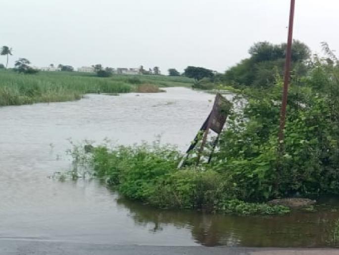Flood situation in Sangli, Krishna river level at 31 feet; Thousands of acres of crops along the river are under water | सांगलीत पूरस्थिती, ‘कृष्णे’ची पातळी ३१ फुटांवर; नदीकाठची हजारो एकरांतील पिके पाण्याखाली Flood situation in Sangli, Krishna river level at 31 feet; Thousands of acres of crops along the river are under water | सांगलीत पूरस्थिती, ‘कृष्णे’ची पातळी ३१ फुटांवर; नदीकाठची हजारो एकरांतील पिके पाण्याखाली