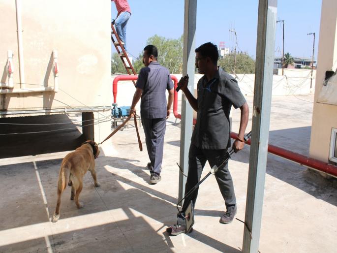 Police control room receives bomb threat call Police rush to spot | पोलिस नियंत्रण कक्षात बॉम्ब ठेवल्याचा ‘कॉल’; पोलिसांची धावपळ Police control room receives bomb threat call Police rush to spot | पोलिस नियंत्रण कक्षात बॉम्ब ठेवल्याचा ‘कॉल’; पोलिसांची धावपळ