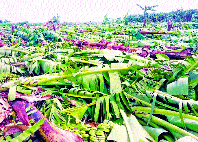 Presence of pre-monsoon rainfall in the district | जिल्ह्यात मान्सूनपूर्व पावसाची हजेरी Presence of pre-monsoon rainfall in the district | जिल्ह्यात मान्सूनपूर्व पावसाची हजेरी