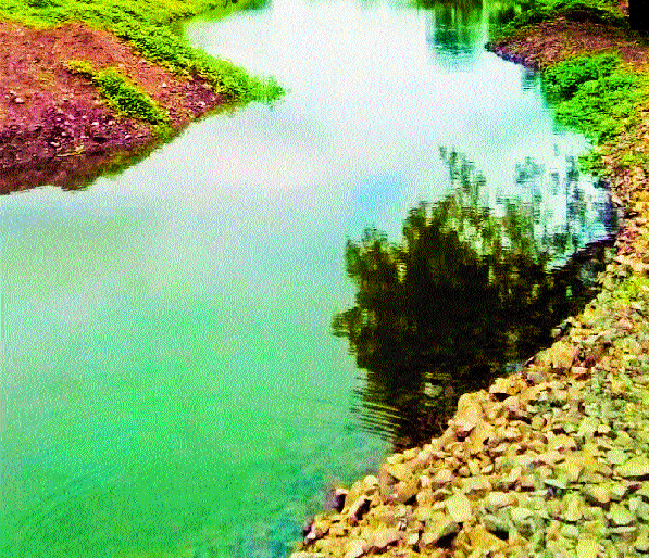 Irrigation for 100 percent drizzling of Punadi! | पुणदीची वाटचाल शंभर टक्के ठिबक सिंचनाकडे! Irrigation for 100 percent drizzling of Punadi! | पुणदीची वाटचाल शंभर टक्के ठिबक सिंचनाकडे!