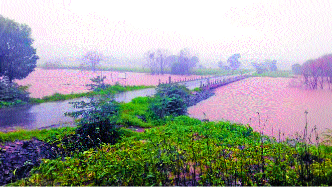 Varna river water due to its subsurface | संततधारेमुळे वारणा नदीचे पाणी पात्राबाहेर Varna river water due to its subsurface | संततधारेमुळे वारणा नदीचे पाणी पात्राबाहेर