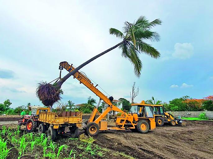 Highway replanting of trees at own cost | महामार्गालगतच्या झाडांचे स्वखर्चाने पुनर्रोपण