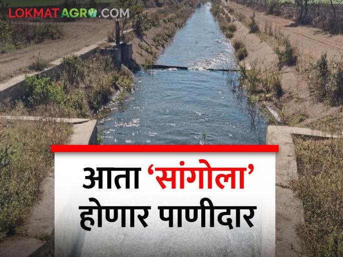 883 crore approved for Sangola Irrigation Scheme, work to start soon | सांगोला सिंचन योजनेसाठी ८८३ कोटींच्या खर्चाला मान्यता, लवकरच कामाला सुरवात 883 crore approved for Sangola Irrigation Scheme, work to start soon | सांगोला सिंचन योजनेसाठी ८८३ कोटींच्या खर्चाला मान्यता, लवकरच कामाला सुरवात