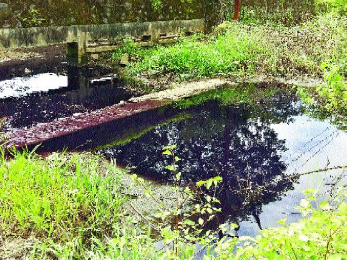 With watercolor water in the mahad | महाडमध्ये नाले रंगले रंगीत पाण्याने With watercolor water in the mahad | महाडमध्ये नाले रंगले रंगीत पाण्याने