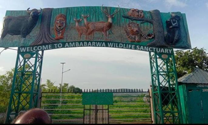 Jungle Safari in Ambabarwa Sanctuary closed from July 1 | अंबाबरवा अभयारण्यात १ जूलैपासून जंगल सफारी बंद Jungle Safari in Ambabarwa Sanctuary closed from July 1 | अंबाबरवा अभयारण्यात १ जूलैपासून जंगल सफारी बंद