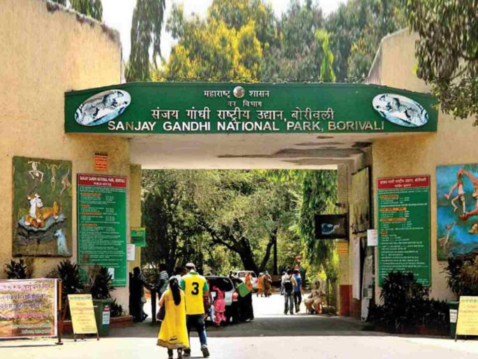 Mumbaikars' breath caught in plastic trap; Concern over plastic pollution in Sanjay Gandhi Park | प्लास्टिकच्या फासात अडकला मुंबईकरांचा श्वास; संजय गांधी उद्यानातील प्लास्टिक विळख्याची चिंता Mumbaikars' breath caught in plastic trap; Concern over plastic pollution in Sanjay Gandhi Park | प्लास्टिकच्या फासात अडकला मुंबईकरांचा श्वास; संजय गांधी उद्यानातील प्लास्टिक विळख्याची चिंता