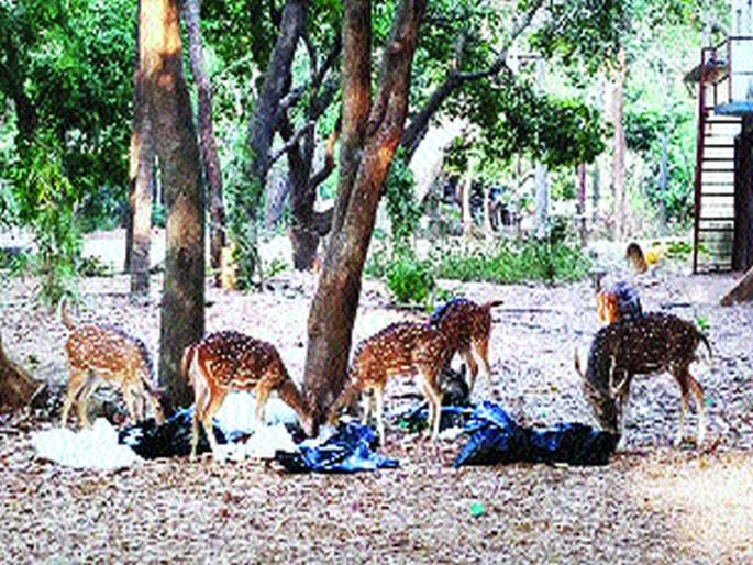 Sanjay Gandhi National Park Plastics | संजय गांधी राष्ट्रीय उद्यान प्लॅस्टिकच्या विळख्यात Sanjay Gandhi National Park Plastics | संजय गांधी राष्ट्रीय उद्यान प्लॅस्टिकच्या विळख्यात