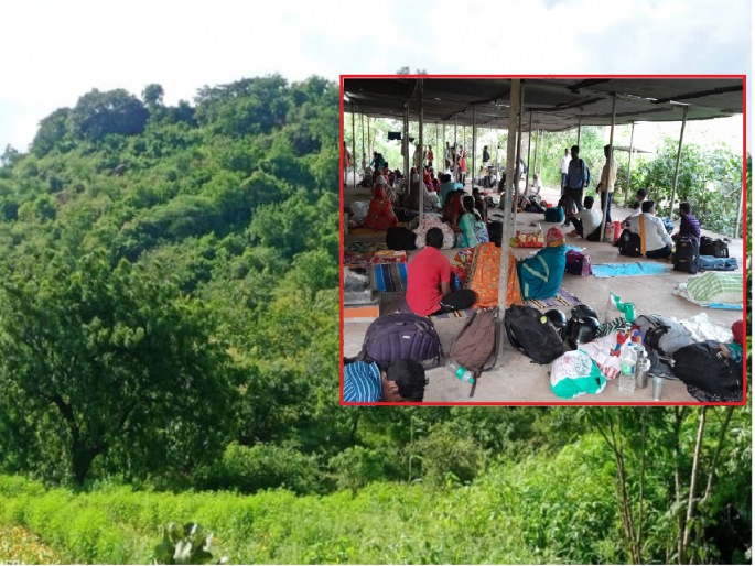 Uttara Nakshatra begins, Sanjeevani Island blooms; Tourists, patients crowd the island after two years | उत्तरा नक्षत्रास प्रारंभ, संजीवनी बेट बहरले; दाेन वर्षानंतर पर्यटक, रुग्णांची बेटावर गर्दी Uttara Nakshatra begins, Sanjeevani Island blooms; Tourists, patients crowd the island after two years | उत्तरा नक्षत्रास प्रारंभ, संजीवनी बेट बहरले; दाेन वर्षानंतर पर्यटक, रुग्णांची बेटावर गर्दी