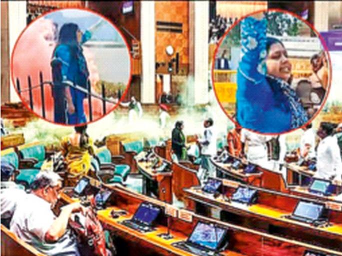 'They' are neither terrorists nor Bhagat Singh! Parliament security breach views | ‘ते’ ना दहशतवादी, ना भगतसिंग! 'They' are neither terrorists nor Bhagat Singh! Parliament security breach views | ‘ते’ ना दहशतवादी, ना भगतसिंग!