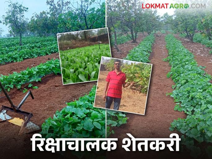 The joy of farming has started with the rickshaw business; Farmers are enjoying profitable vegetable farming | रिक्षाव्यवसाय करत लागली शेतीची गोडी; शेतकरी संतोष करतायत फायद्याची भाजीपाला शेती The joy of farming has started with the rickshaw business; Farmers are enjoying profitable vegetable farming | रिक्षाव्यवसाय करत लागली शेतीची गोडी; शेतकरी संतोष करतायत फायद्याची भाजीपाला शेती