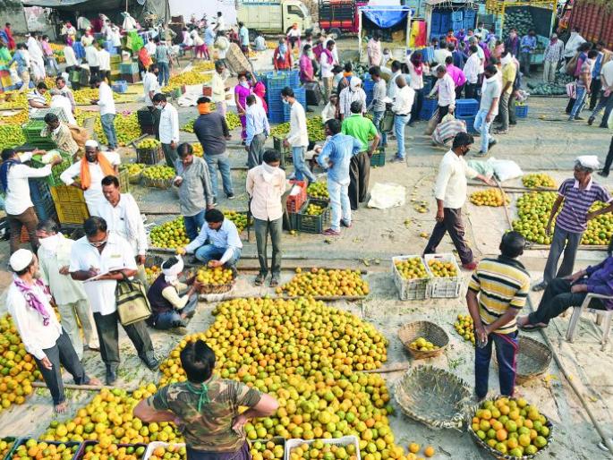 Now the mockery of social distancing is also in Santra Market | आता संत्रा मार्केटमध्येही सोशल डिस्टन्सिंगचा फज्जा : बाजार बंद करण्याची मागणी Now the mockery of social distancing is also in Santra Market | आता संत्रा मार्केटमध्येही सोशल डिस्टन्सिंगचा फज्जा : बाजार बंद करण्याची मागणी