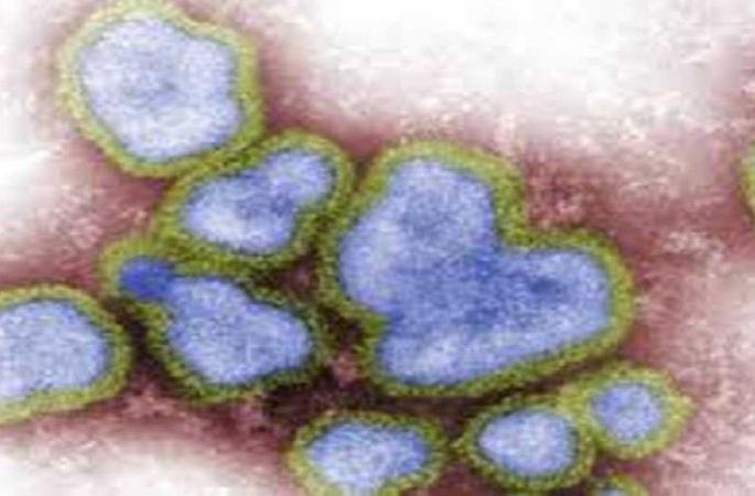 Treatment of all four with symptoms of 'Sari' and 'ILI'! | ‘सारी’, ‘आयएलआय’ची लक्षणे असलेल्या चौघांवर उपचार! Treatment of all four with symptoms of 'Sari' and 'ILI'! | ‘सारी’, ‘आयएलआय’ची लक्षणे असलेल्या चौघांवर उपचार!