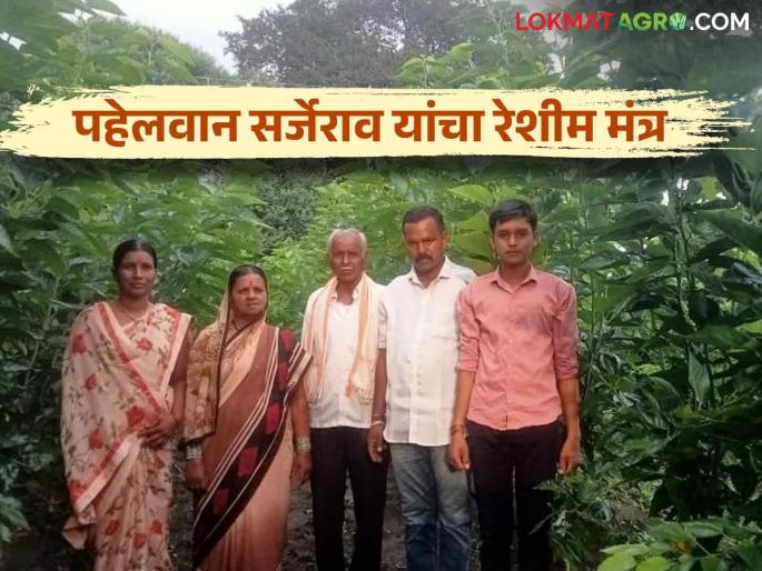 Sericulture Award : 'Reshimaratna' Award goes to Sarjerao for achieving economic stability through sericulture | Sericulture Award : रेशीम शेतीतून आर्थिक स्थैर्य मिळवत सर्जेराव यांना 'रेशीमरत्न' पुरस्कार Sericulture Award : 'Reshimaratna' Award goes to Sarjerao for achieving economic stability through sericulture | Sericulture Award : रेशीम शेतीतून आर्थिक स्थैर्य मिळवत सर्जेराव यांना 'रेशीमरत्न' पुरस्कार