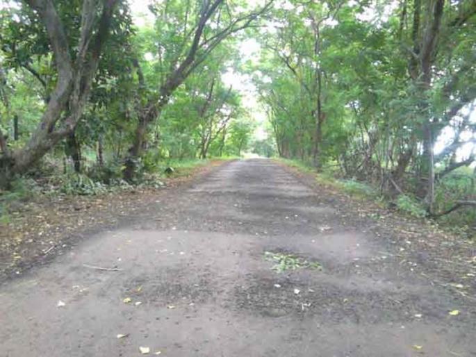 Expedition is a duplicate weapon | वनपर्यटन हे दुधारी शस्त्र Expedition is a duplicate weapon | वनपर्यटन हे दुधारी शस्त्र