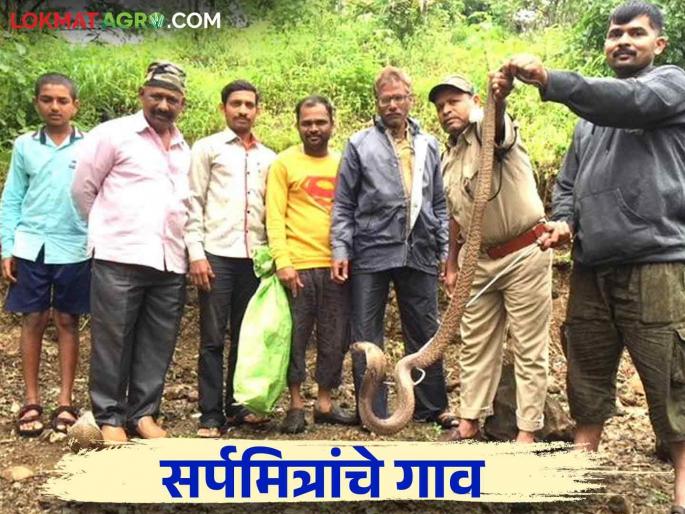 This village in Kolhapur district is known as the village of Sarpamitra, read in detail | कोल्हापूर जिल्ह्यातील या गावाला सर्पमित्रांचं गाव म्हणून ओळख वाचा सविस्तर