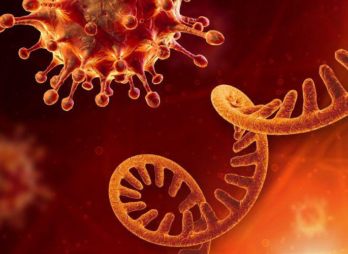 Nine died in Bhandara district on Tuesday; 191 corona positive | भंडारा जिल्ह्यात मंगळवारी नऊ जणांचा मृत्यू; १९१ कोरोना पॉझिटिव्ह