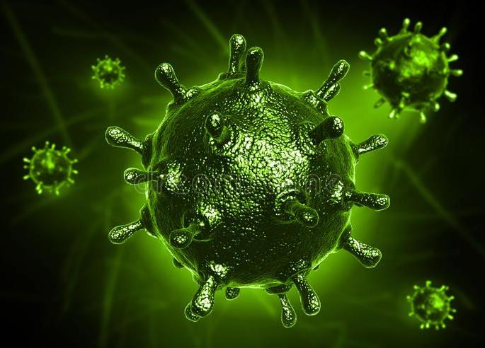 A person who came to Wardha from Haryana is coronated | coronavirus; हरियाणातून वर्ध्यात आलेली व्यक्ती कोरोनाबाधित A person who came to Wardha from Haryana is coronated | coronavirus; हरियाणातून वर्ध्यात आलेली व्यक्ती कोरोनाबाधित