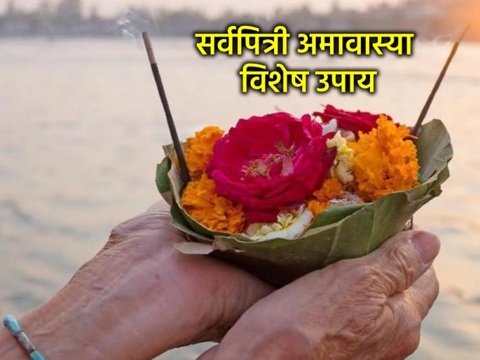 Sarva Pitru Amavasya 2025: Those who were unable to perform Shraddha rituals during Pitru Fortnight should definitely perform 'this' remedy for Sarva Pitru! | ज्यांना पितृपंधरवड्यात श्राद्धविधी जमले नाहीत, त्यांनी सर्वपित्री अमावास्येला आवर्जून करा 'हे' उपाय!