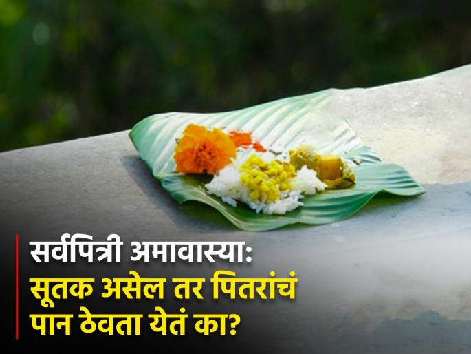pitru paksha 2023 if sutak has come can one do shradh vidhi in sarvapitri amavasya know about what said in shastra | पितृपक्ष: सूतक आलं असेल तर सर्वपित्री अमावास्येला पितरांचं पान ठेवता येतं का? जाणून घ्या pitru paksha 2023 if sutak has come can one do shradh vidhi in sarvapitri amavasya know about what said in shastra | पितृपक्ष: सूतक आलं असेल तर सर्वपित्री अमावास्येला पितरांचं पान ठेवता येतं का? जाणून घ्या