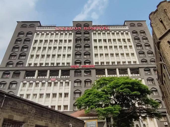 will action be taken against the ruthless doctors who throw destitute patients to unknown places in sasoon hospital | Sasoon Hospital: डॉक्टर आहेत कि कसाई, बेवारस रुग्णांना अज्ञात स्थळी फेकणाऱ्या निर्दयी डॉक्टरांवर कारवाई होणार का? will action be taken against the ruthless doctors who throw destitute patients to unknown places in sasoon hospital | Sasoon Hospital: डॉक्टर आहेत कि कसाई, बेवारस रुग्णांना अज्ञात स्थळी फेकणाऱ्या निर्दयी डॉक्टरांवर कारवाई होणार का?
