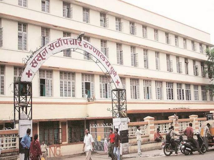 Sassoon wakes up after kidney racket; Organ Transplantation Recognition Committee formed | किडनी रॅकेटनंतर ससूनला आली जाग; अवयव प्रत्याराेपण मान्यता समिती गठित