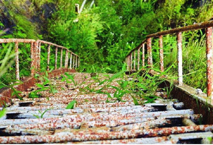  Chakdev Plateau's cushion with twenty years of support | वीस वर्षे साथ देणारी चकदेव पठाराची शिडी