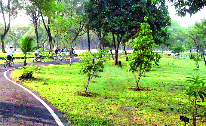  Construction of two forest parks for the first time in Satara district | सातारा जिल्ह्यात प्रथमच दोन वन उद्यानांची निर्मिती