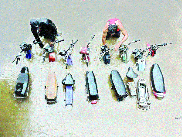 Bichchari Godoli .. again in water! | बिच्चारी गोडोली.. पाण्यात पुन्हा बुडाली ! Bichchari Godoli .. again in water! | बिच्चारी गोडोली.. पाण्यात पुन्हा बुडाली !