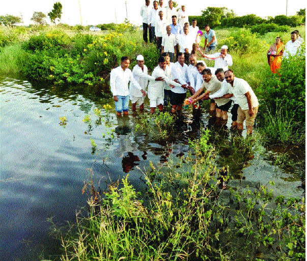 After that, the cobbled pool | तपानंतर भरला गोपूजचा तलाव After that, the cobbled pool | तपानंतर भरला गोपूजचा तलाव