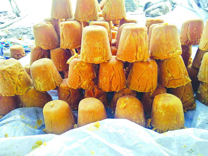 Housewives stopped for skilled laborers! | कुशल मजुरांअभावी गुºहाळघरे बंद! Housewives stopped for skilled laborers! | कुशल मजुरांअभावी गुºहाळघरे बंद!