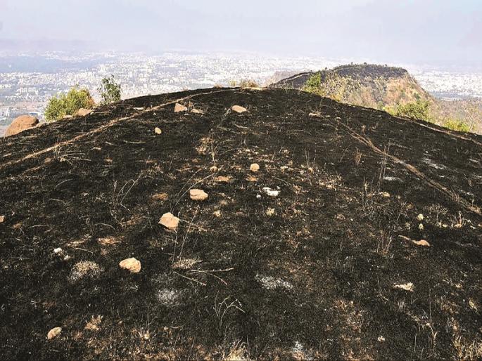 fire on Satara hills, stopped at morning; The reason is still unclear | सातारा डोंगरावरील वणवा भल्या पहाटे शांत; कारण अद्याप अस्पष्ट fire on Satara hills, stopped at morning; The reason is still unclear | सातारा डोंगरावरील वणवा भल्या पहाटे शांत; कारण अद्याप अस्पष्ट