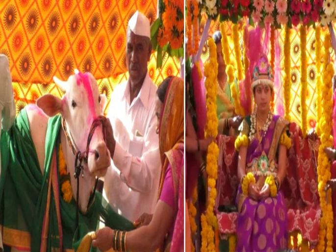 A baby shower on cow in Satara | सूनेसोबत गाईचंही डोहाळे जेवण, साता-यातील लावंड कुटुंबाचं स्तुत्य उपक्रम A baby shower on cow in Satara | सूनेसोबत गाईचंही डोहाळे जेवण, साता-यातील लावंड कुटुंबाचं स्तुत्य उपक्रम