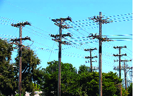 The employees of Mahavitaran's office are the only ones who can not be trusted | महावितरणच्या अधिकार्याना कर्मचार्यानीच कोंडले The employees of Mahavitaran's office are the only ones who can not be trusted | महावितरणच्या अधिकार्याना कर्मचार्यानीच कोंडले